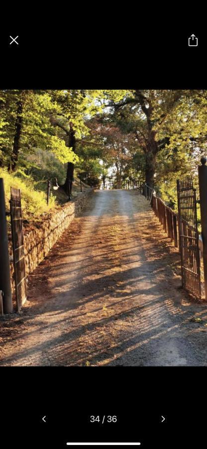Appartamento Casa Orma Rapolano Terme Esterno foto